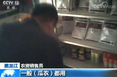 哥谭市吃瓜群众是谁,揭秘都市背后的神秘故事