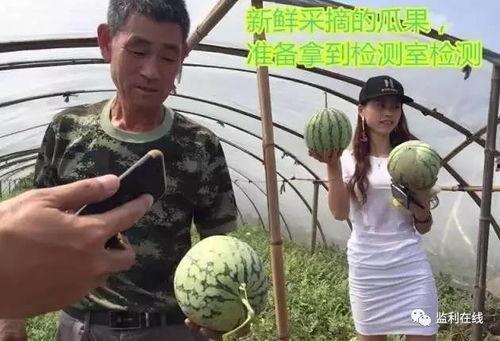 厦门吃瓜群众直播,街头巷尾的美食探秘之旅