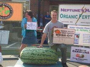 人群中的吃瓜群众是什么,网络时代的围观者与传播者