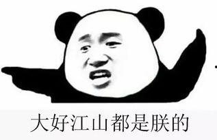 宿舍一群吃瓜群众,揭秘校园生活那些事儿