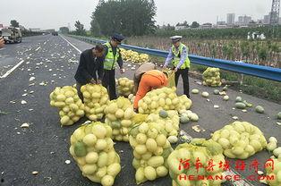 太谷区吃瓜群众,吃瓜群众眼中的烟火人间