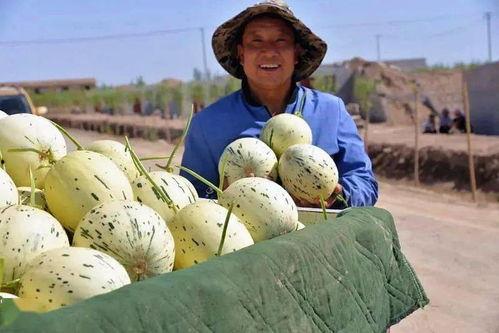 永远做一个吃瓜群众的人,做一个吃瓜群众的快乐人生