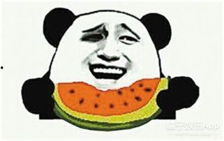 吃瓜群众葵太太,揭秘吃瓜群众的趣味生活