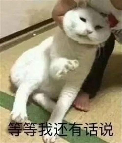 吃瓜群众三人表情包下载,三款爆笑表情，笑出腹肌！