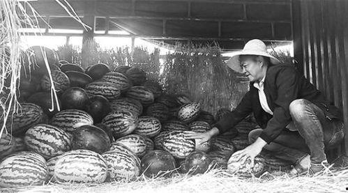 水城广场吃瓜群众事件,一场街头热议的围观风云