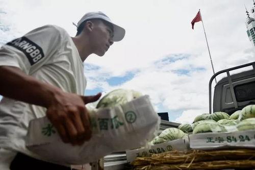 一位匿名的吃瓜群众是谁,是谁在暗中观察娱乐圈风云变幻？