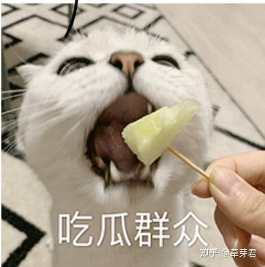 吃瓜的群众到此一游,揭秘“到此一游”背后的文化现象