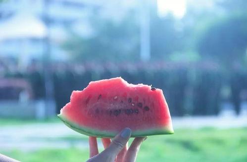 人世间吃瓜群众,吃瓜群众的欢乐盛宴