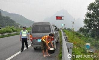 吃瓜群众高速公路,见证奇闻轶事