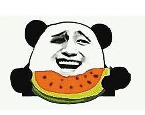 全职太太吃瓜群众,揭秘家庭背后的酸甜苦辣